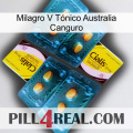 Milagro V Tónico Australia Canguro cialis5